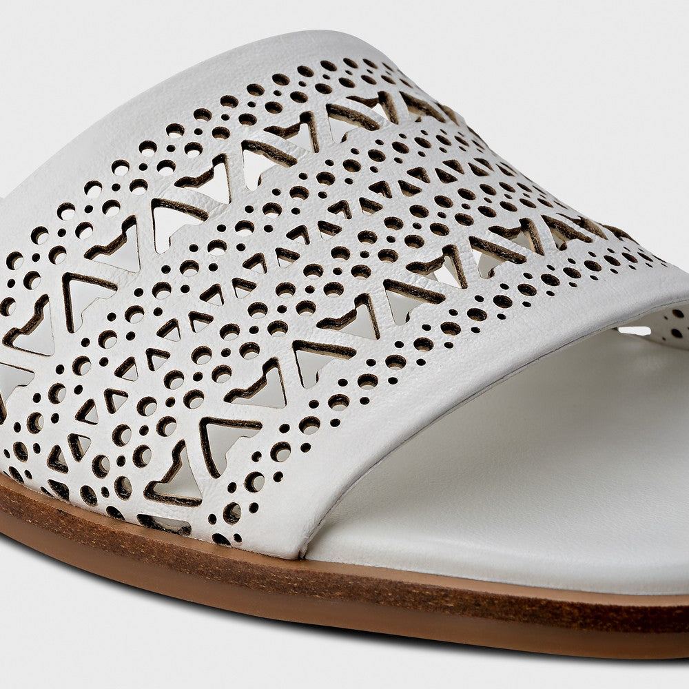 Chinelo Flat Carrano 777016