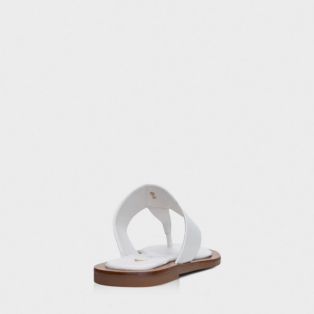 Chinelo Flat Carrano 676003