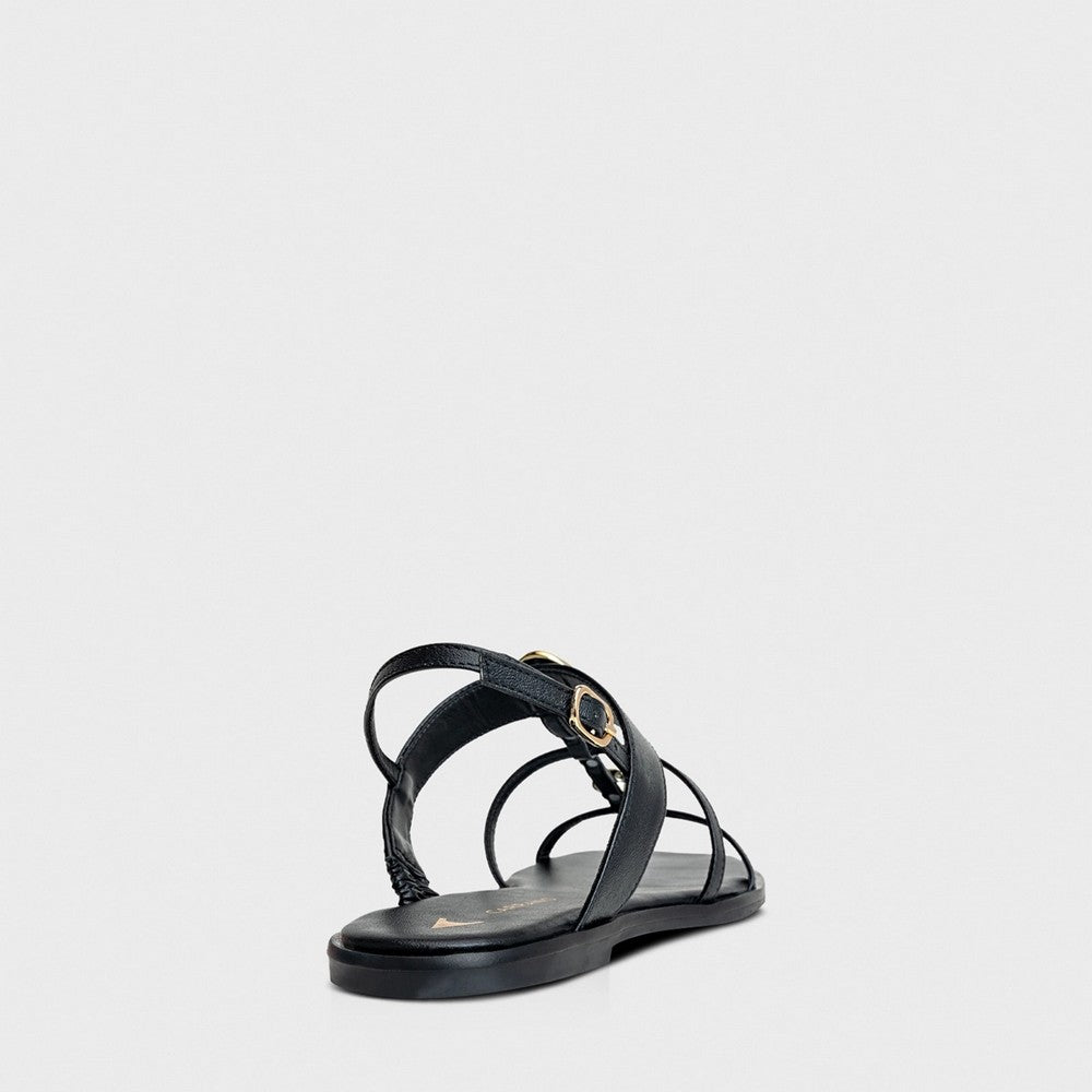 Rasteira Coin Carrano 777025